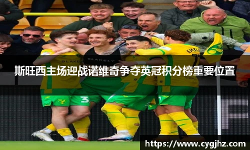 斯旺西主场迎战诺维奇争夺英冠积分榜重要位置